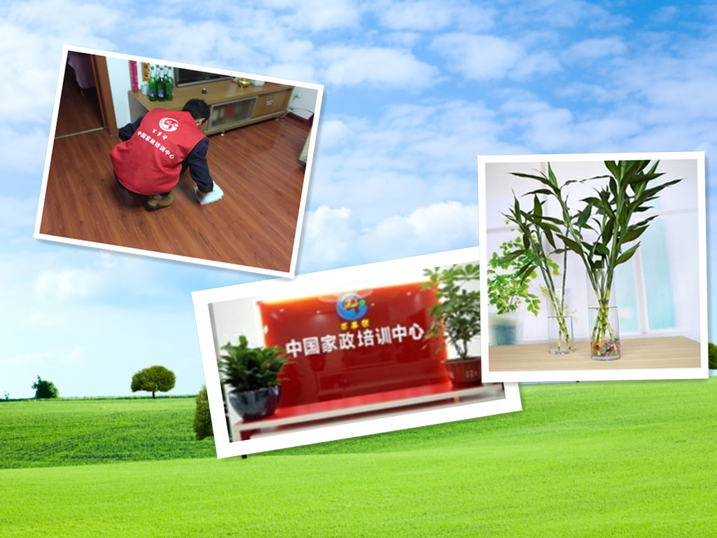 t0117b2ecfa51cd2d17_副本.jpg